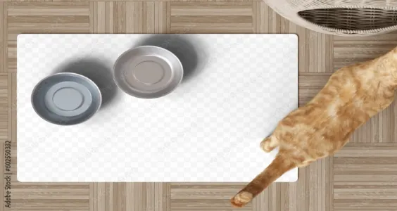 Pet products such as mats and wear