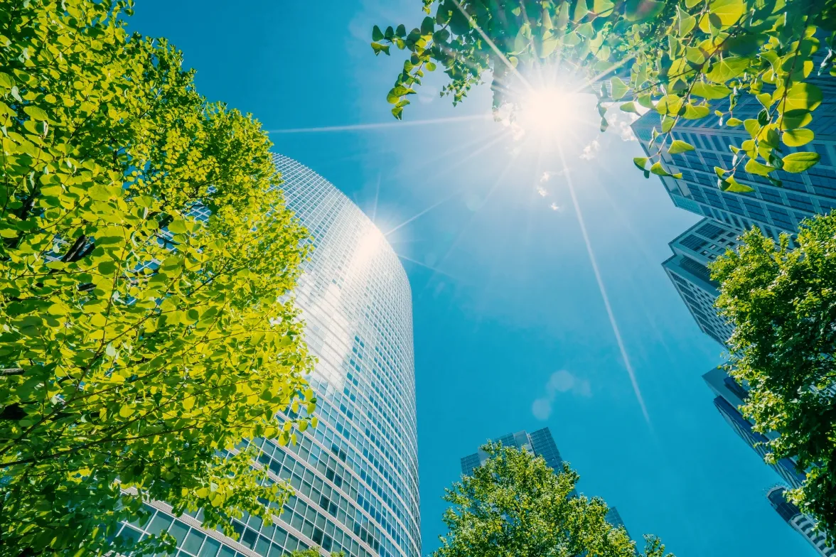 Sunlight through fresh green leaves and a glass office tower seen from below